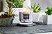 Aromascape 3-Wick Scented Jar Candle, Lavender & Vanilla