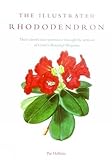 Illustrated Rhododendron by Pat Halliday