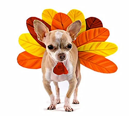 BLUE DOG BAKERY PUN’KIN SOFTIES, PUMPKIN FLAVOR, 10 OUNCES