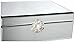 Hester Silver Mirrored Decorative Jewelry Box