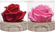 Home Scent 12oz Real Fragrance Flower Lasts 4 Month Abilities Similar to Scented Candle, Wax and Aroma Diffuse
