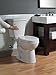 DELTA FAUCET Rubber Limited 79450-SS Linden Wall Mount Pivot Arm Toilet Paper Holder Bath Hardware Accessory in Stainless Steel