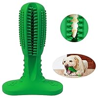 FULNEW Dog Toothbrush Stick Dog Chew Tooth Cleaner Puppy Dental Care Brushing Stick Natural Rubber Bite Resistant Chew Toys for Dogs Pet Oral Care (Medium, Green)