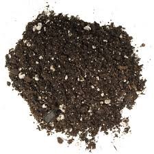 Bonsai Tree Soil All Purpose Blend - 4 Quarts - CZ Grain Brand 100% Organic All Natural Great for Fast Growing Bonsai Trees