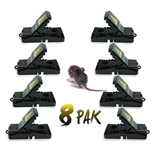 Quick kill, no blood