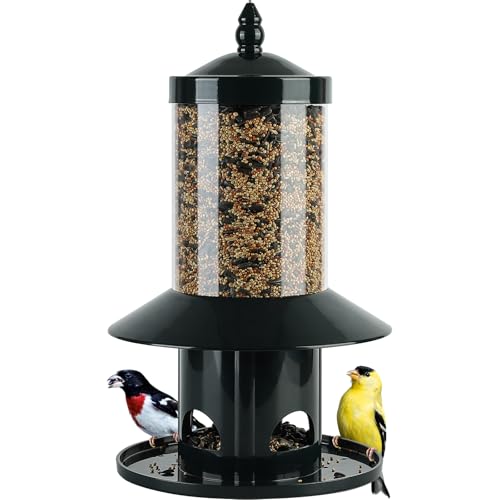 Dreamdrawer Squirrel-Proof Bird Feeder