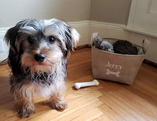 personalized dog gift basket