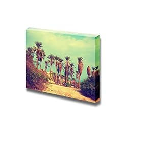 Vintage Landscape with Date Palm Trees in EIN Gedi Reserve in Israel - Canvas Art Wall Art - 12" x 18"