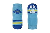 RC Pet Products Pawks Dog Socks, X-Small, Preppy