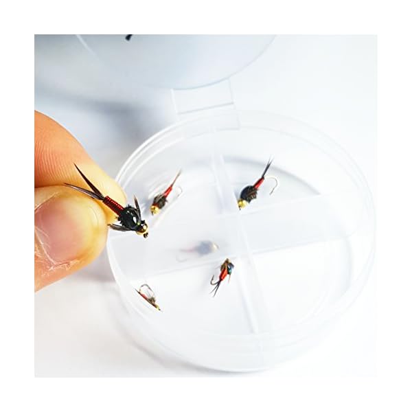 BH-Copper-John-Fly-Fishing-Nymph-Trout-Fly-Assortment-Choose-Your-Color-6-Flies