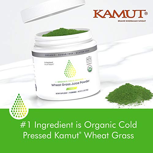 Organic Wheatgrass Juice Powder with Kamut 75 Servings Chlorophyll