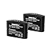 Turpow 2 Pack BA300 Replacement Battery for Set 840-TV, Set 840-S, Set 830-TV, RI 830, Set 830 S, RI 830 S, is 410, RI 410, RS 4200, RR 4200