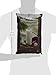 Big Train Dragonfly Coconut Blended Crème Beverage Mix, 3.5 Pound (Pack of 1)