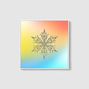 Framed Canvas Wall Art for Living Room, Bedroom Snowflake Theme Canvas Prints for Home Decoration Ready to Hang - 16x16 inches