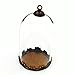 ZENRA 38x25mm Clear Tube Glass Globe Bottle with findings Hollow Glass Dome, Glass Vial Pendant Charms - 10pcs (Bronze Crown Base)