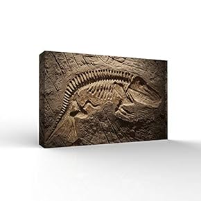 Canvas Wall Art - Vintage Fossil - Bedroom Modern Home Art Stretched and Framed Ready to Hang - 12x18 inches