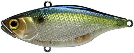 Jackall TN Disc Knocker