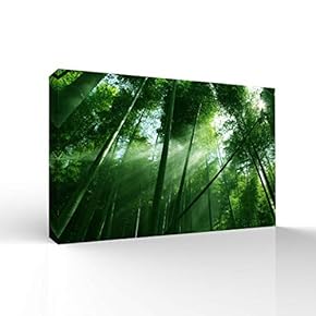 Wall26-Canvas Wall Art-Quiet Bamboo Grove-Giclee Painting Wall Bedroom Living House Decoration Home Art - 12x18 inches