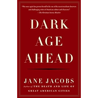 Dark Age Ahead book cover