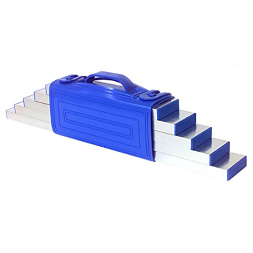 Barwalt 5 Piece Mini Straightedge Set 80100