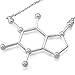 FUNRUN Womens Mens Caffeine Pendant,Chemistry Molecule Necklace