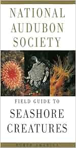 National Audubon Society Field Guide To Seashore Creatures