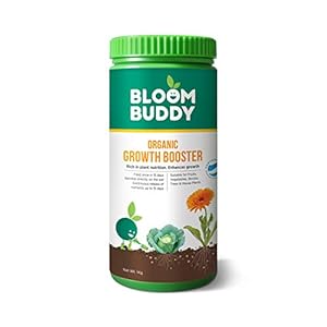 BLOOMBUDDY Organic Growth Booster (1 Kg)