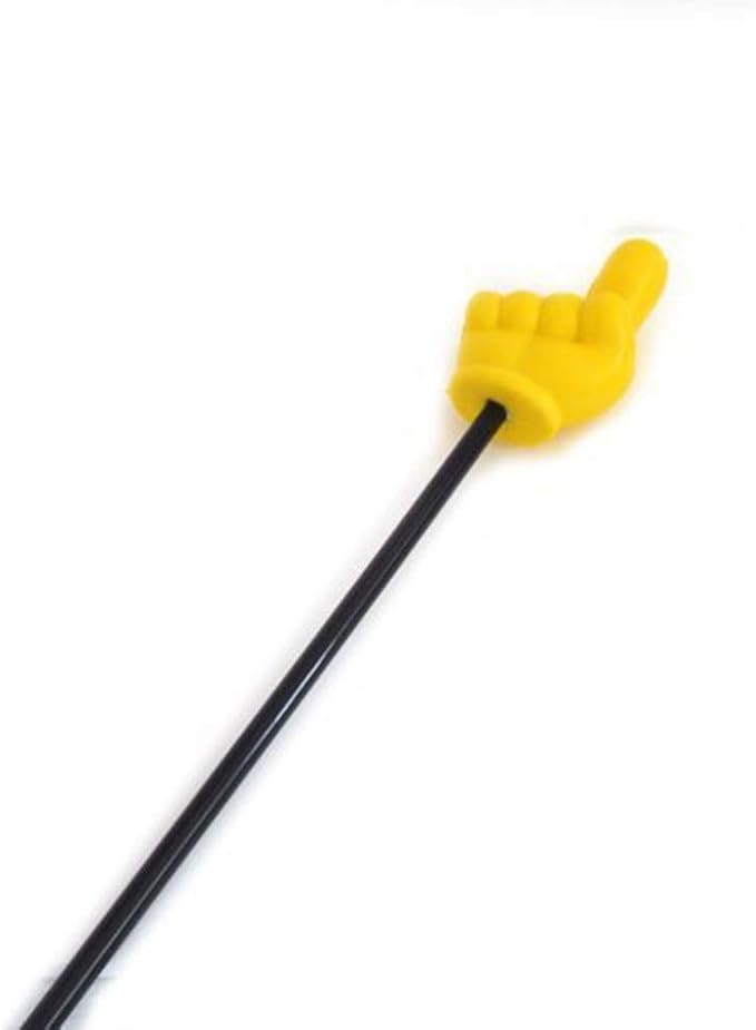 Pinmaoo Funny Finger Stick Pointing Stick Indication Stick Learning