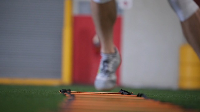 Scandinavian-Sports-Agility-Ladder-12-Adjustable-Rungs-20-Feet-Agility-Speed-Training-Kit-Quickness-Training-Equipment-for-Faster-Footwork-and-Better-Movement-Skills