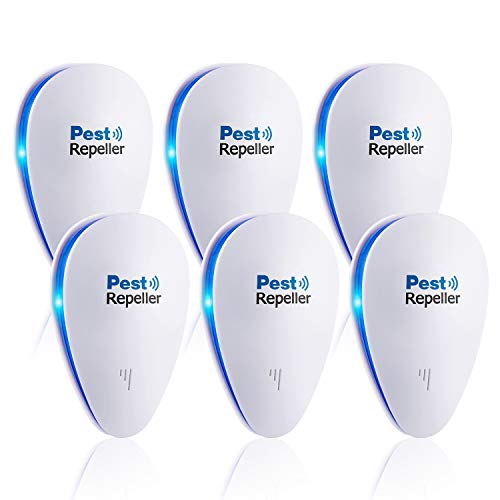 Where to find rat noise?