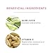 100% PURE Burdock & Neem Healthy Scalp Clarifying Shampoo Moisturizing Detox with Rose Hydrosol Replenishing Cleanser for Dry, Itchy, Flaky Scalp for Women & Men - 8 Fl Oz