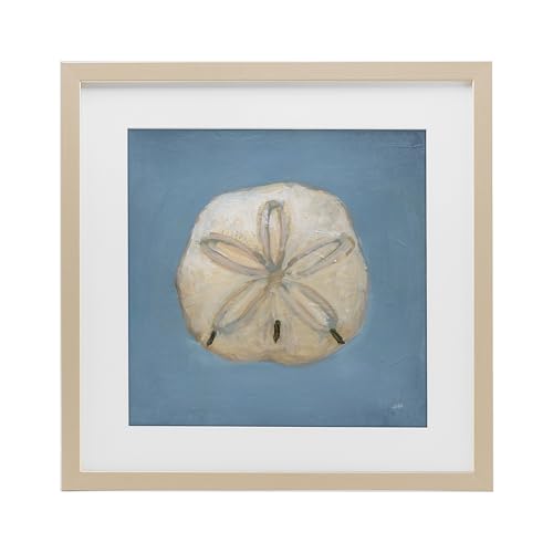 'Soft Sea Sand Dollar'| Framed Print Under Glass