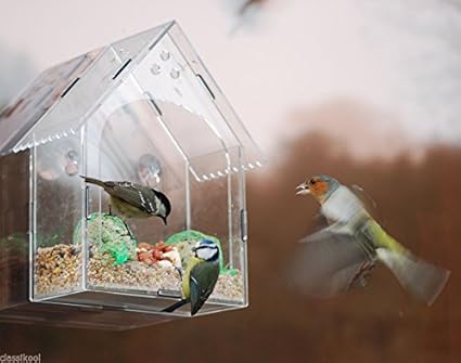 Classikool Large Glass Window Acrylic Bird Feeder Fat Ball Seed