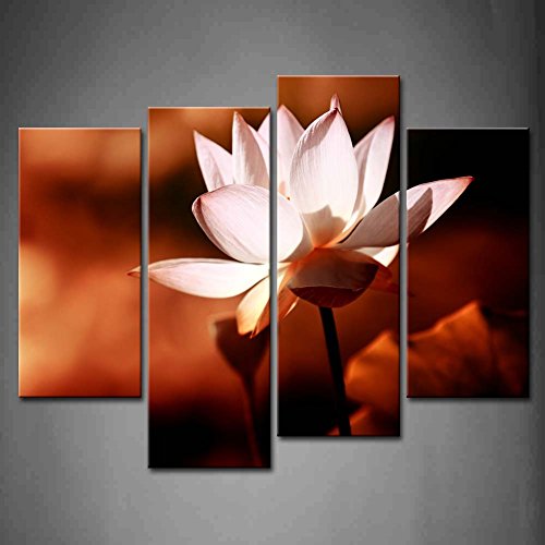 Captivating, Enchanting and Beautiful Lotus Flower Wall Art