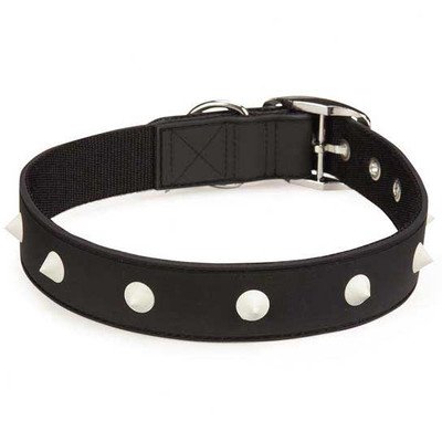 Zack & Zoey Glow Stud Collar, 11 to 14-Inch, Black