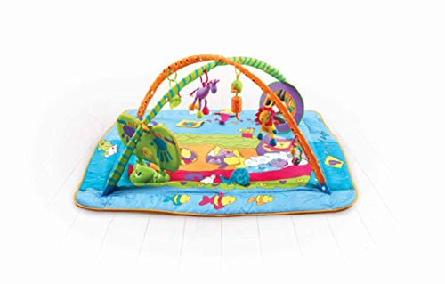 tiny love gymini play mat