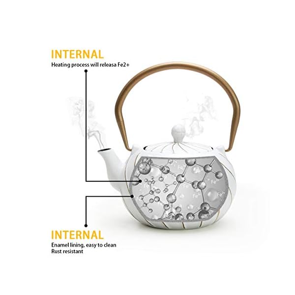 Tea Kettle, TOPTIER Japanese Cast Iron Teapot with Stainless Steel