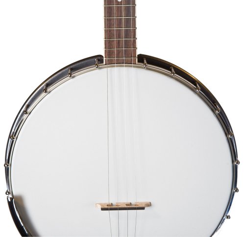 1 Rover+RB+20+Open+String+Banjo