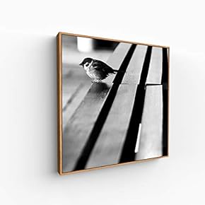Canvas Wall Art for Living Room, Bedroom Silence Framed Canvas Prints for Home Decoration Ready to Hang - 16x16 inches