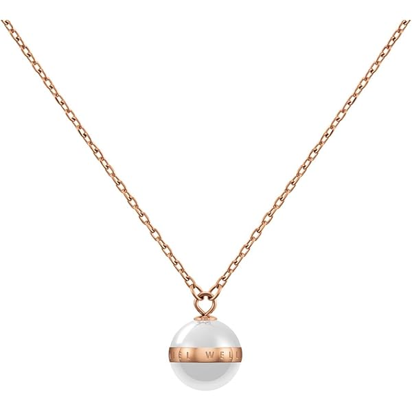 Amazon.com: Daniel Wellington Elevation necklace One Size