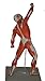 Wellden Anatomical Human Muscular Figure Model, 1/4 Life Size, 18.5''