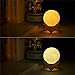 Moon lamp - Lampwin 5.9 Inch USB Rechargeable Dimmable LED 3D Full Moon Light Lantern, Touch Switch Warm / Cool White Crescent Enchanting Moon Night Light for Baby Nursery Kids Bedroom Home Decor Gift