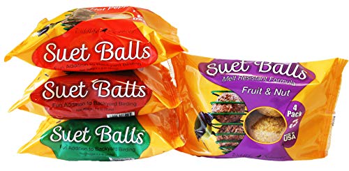 Wildlife Sciences Suet Ball Feeder and Suet Ball Variety Combo Pack | Geo Pyramid Feeder with 16 Suet Balls