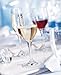 Schott Zwiesel Tritan Crystal Glass Mondial Stemware Collection Wine/Water Goblet Glass, 14.2-Ounce, Set of 6