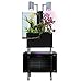 Brio Brio35 Aquaponics Sytem, Black