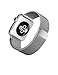 Apple Watch (38MM) Stainless Steel Case with Milanese Loop