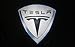 Grolish 2Pcs Car Door Logo Projector Light Symbol Welcome Lamp Kit for Tesla