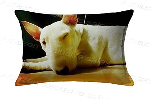 Bull Terrier Standard Pillow Case Cushion Twin Sides Home Sofa Decorative Pillow Protector 20 X 30 Inch(Twin Sides)