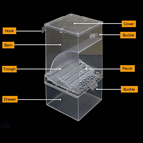 Mrli Pet Parrot Automatic Feeders,No Mess Bird Feeder Large Size High
