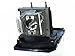 20-01032-20 Lamp for Smart Board UF-55 UF-55w UF-65 UF-65w ST230i Projector Lamp Bulb with housing